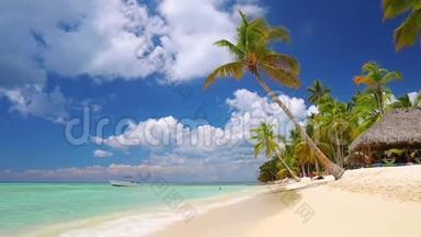 热带加勒比海岛。 美丽的海滩、棕榈树和清澈的海水